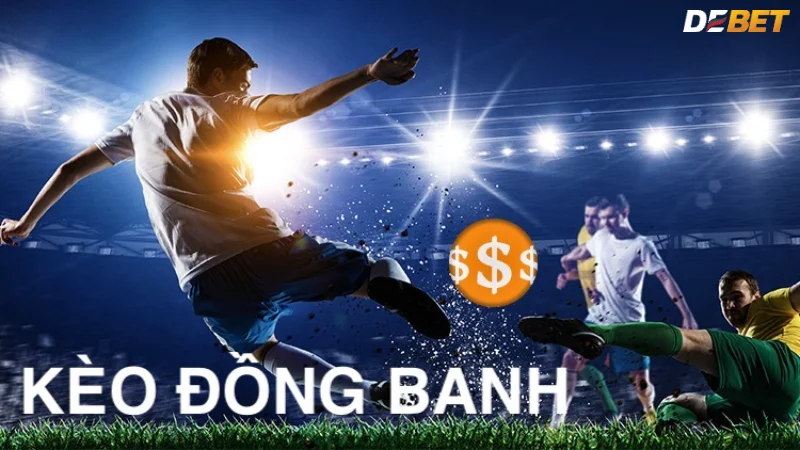 Sử dụng các công cụ phân tích kèo bóng đá đồng banh