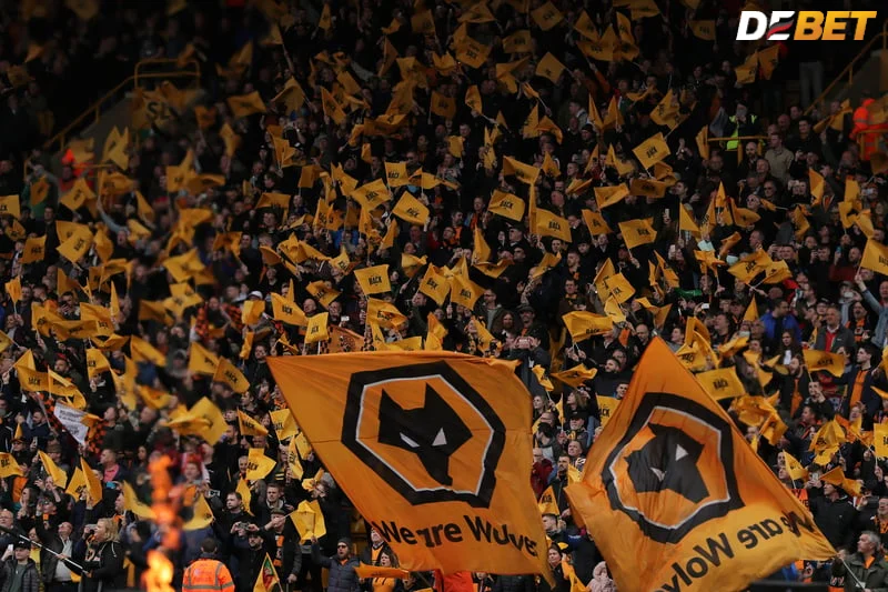 Sự khởi đầu một tình yêu dành cho Wolves